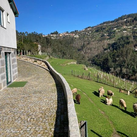 Quinta De Varzielas - Agroturismo قلعة بايفا المظهر الخارجي الصورة