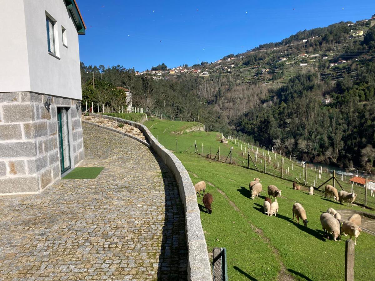 Quinta De Varzielas - Agroturismo قلعة بايفا المظهر الخارجي الصورة