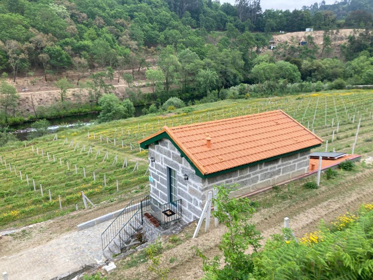 Quinta De Varzielas - Agroturismo قلعة بايفا المظهر الخارجي الصورة