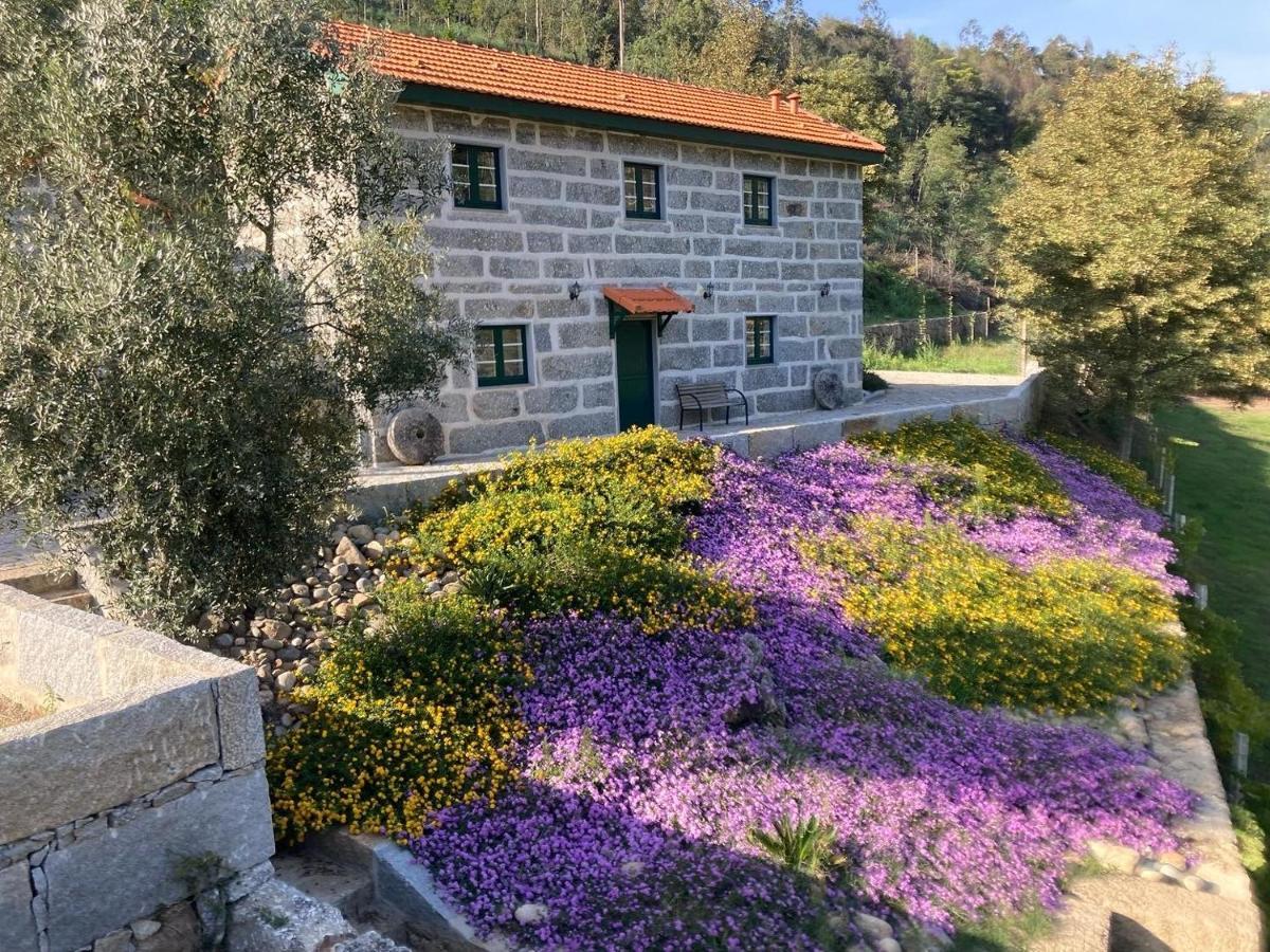 Quinta De Varzielas - Agroturismo قلعة بايفا المظهر الخارجي الصورة